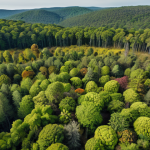 **Lush, diverse forest scene restored with drone technology:** Showcase a wide shot of a formerly barren landscape now flourishing with various native plant species. Drones are faintly visible in the sky, engaged in seed dispersal. Highlight the vibrant colors and thriving biodiversity.